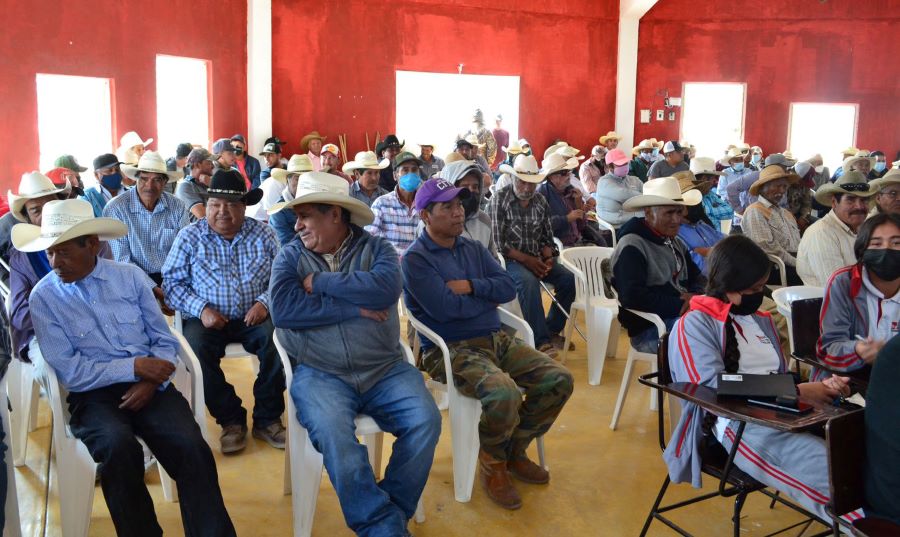 Semarnath Imparte Taller Sobre Depredadores Silvestres en Tecozautla