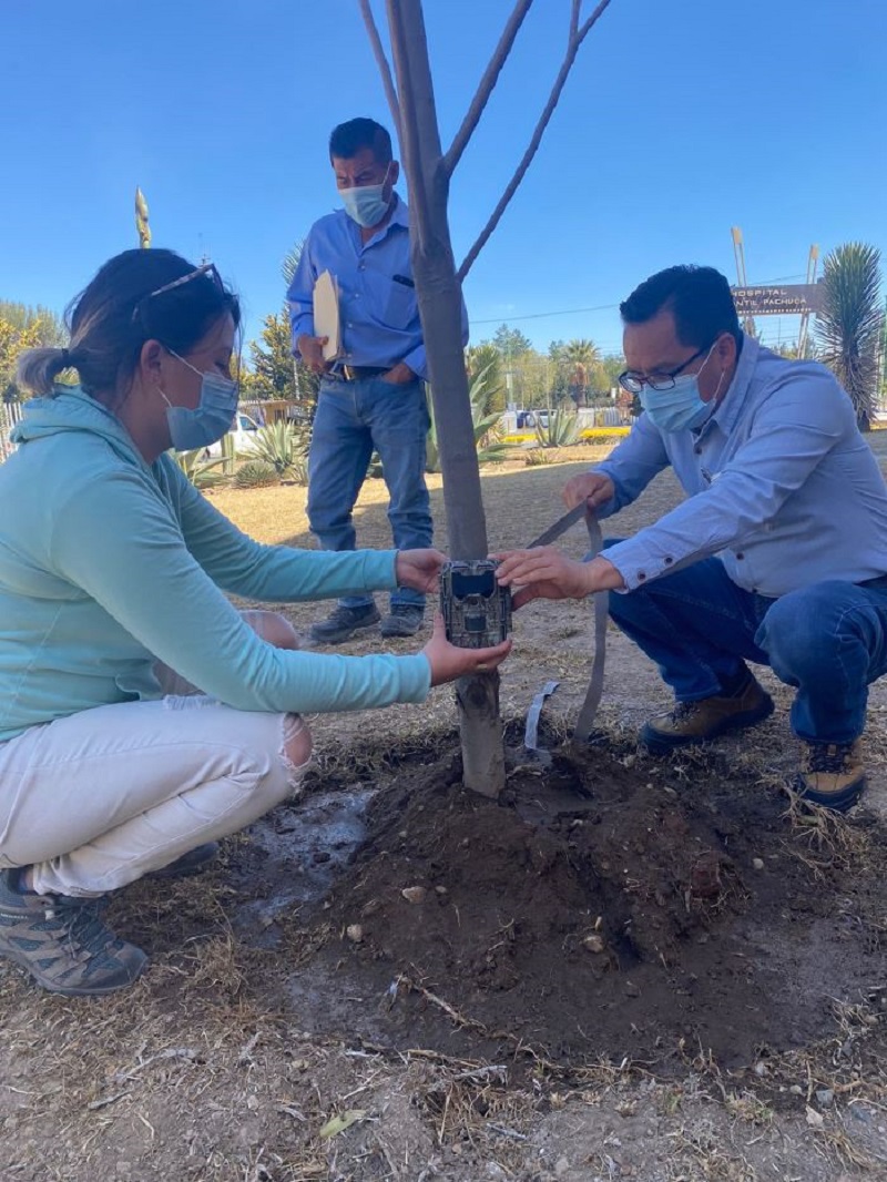 Semarnath Reforestará las Instalaciones del Hospital del Niño DIF en Pachuca y Habilitara Programa Para Conservar las Tuzas