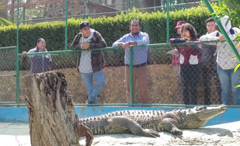 Biólogos de La Unidad de Rescate de Fauna Silvestre de Pachuca Visitaron Zoológico de Tulancingo