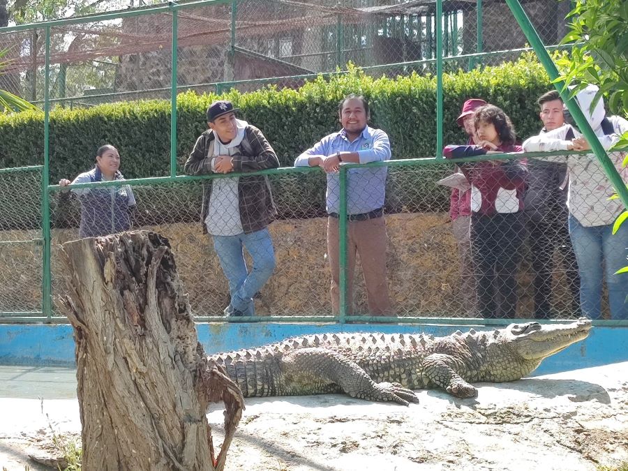 Biólogos de La Unidad de Rescate de Fauna Silvestre de Pachuca Visitaron Zoológico de Tulancingo