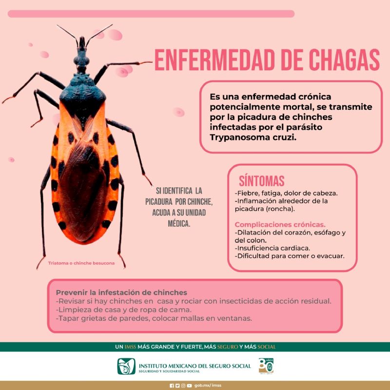 Busca IMSS Hidalgo Informar a la Población Sobre Enfermedad de Chagas