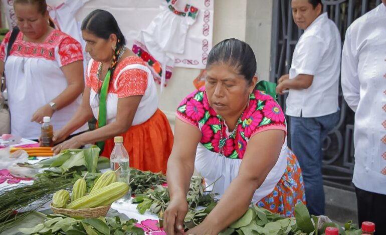 Como Senador Buscare Apoyo Federal Para Atender el Problema del Lirio en los Cuerpos de Agua de la   Hacienda Santa Maria Regla