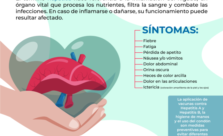 causas de la hepatitis a