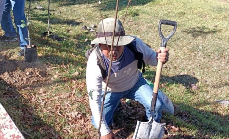 Secretaría del Campo de Tulancingo Apoya a La Integración de Solicitudes de Árboles Frutales