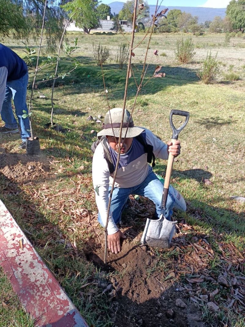 Secretaría del Campo de Tulancingo Apoya a La Integración de Solicitudes de Árboles Frutales