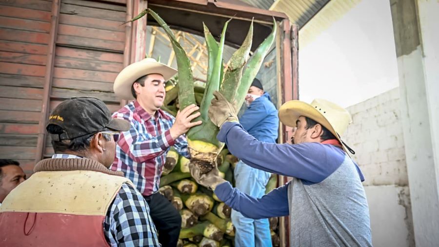 Entrega de Semilla Certificada y Árboles Frutales en el Valle del Mezquital