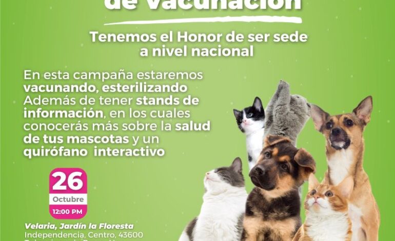 Este Martes Esterilización Canina y Felina, Así Como Aplicación de Vacuna Antirrábica en La Velaria del Jardín La Floresta