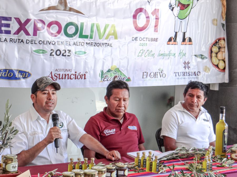 Impulsarán el Desarrollo de Productores Hidalguenses en Expo Oliva 2023