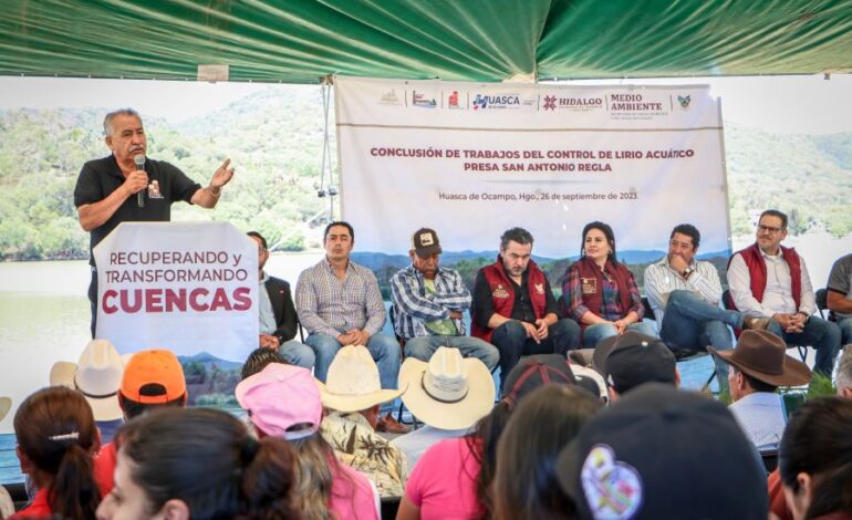 Retiran más de 13 Hectáreas de Lirio Acuático En Presa San Antonio Regla