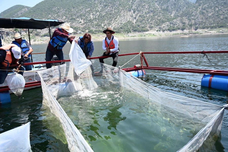 Supera Saderh Metas en Sector Piscícola de Hidalgo