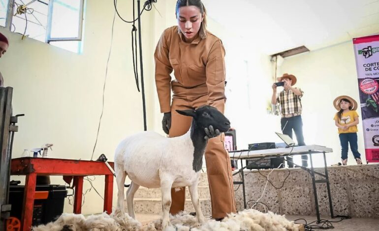 Capacita Saderh a Ovicultores del Valle de Tulancingo