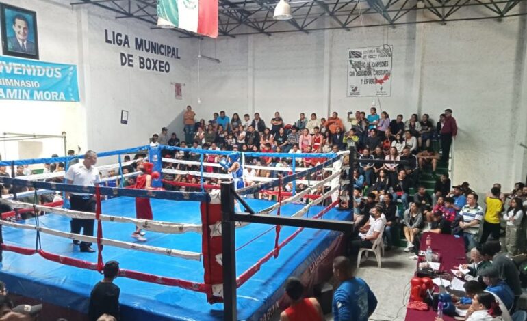 Boxeo Inicia la Cuarta Edición del Torneo de Nuevos Valores