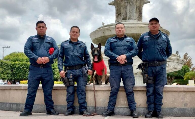 Policía Violeta Fortalece Acciones de Prevención