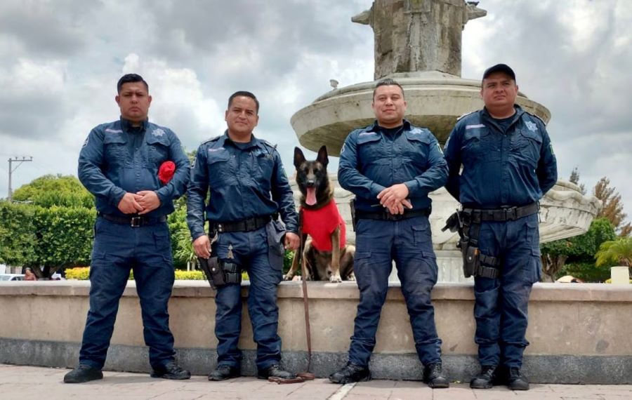 Policía Violeta Fortalece Acciones de Prevención