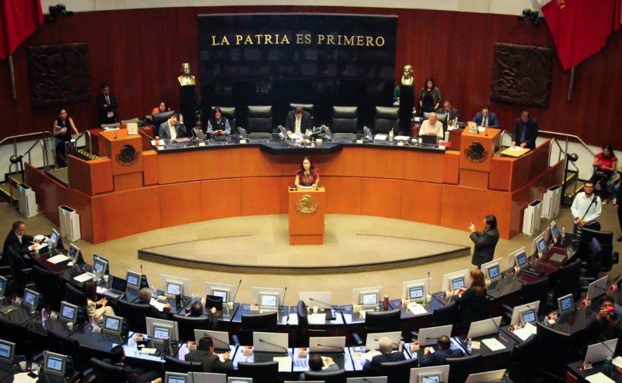 Senado Blinda Programas Sociales en La Constitución