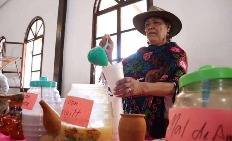 Hidalgo, Líder Nacional en Producción de Maguey Pulquero